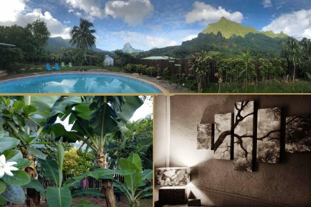 Fare Haurevaiti Moorea Paopao Exterior photo